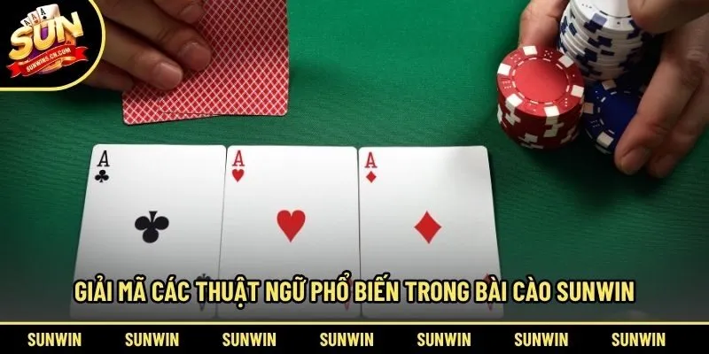 Giải mã các thuật ngữ phổ biến trong bài cào Sunwin